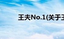 王夫No.1(关于王夫No.1的简介)