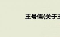 王号儒(关于王号儒的简介)