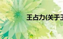 王占力(关于王占力的简介)