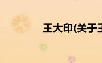 王大印(关于王大印的简介)
