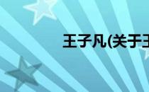 王子凡(关于王子凡的简介)