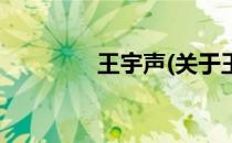 王宇声(关于王宇声的简介)