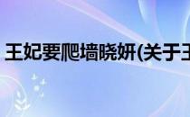 王妃要爬墙晓妍(关于王妃要爬墙晓妍的简介)