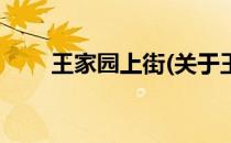 王家园上街(关于王家园上街的简介)