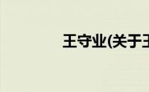 王守业(关于王守业的简介)
