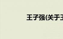 王子强(关于王子强的简介)