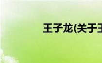 王子龙(关于王子龙的简介)