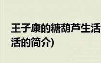 王子康的糖葫芦生活(关于王子康的糖葫芦生活的简介)