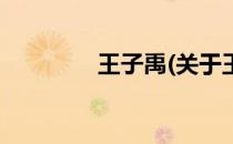 王子禹(关于王子禹的简介)