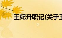 王妃升职记(关于王妃升职记的简介)