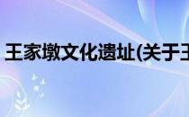 王家墩文化遗址(关于王家墩文化遗址的简介)