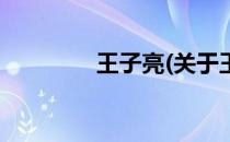 王子亮(关于王子亮的简介)