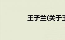 王子兰(关于王子兰的简介)