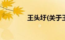 王头圩(关于王头圩的简介)