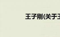 王子刚(关于王子刚的简介)