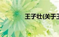 王子壮(关于王子壮的简介)