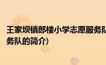 王家坝镇郎楼小学志愿服务队(关于王家坝镇郎楼小学志愿服务队的简介)