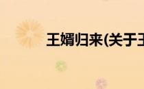 王婿归来(关于王婿归来的简介)