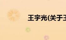 王宇光(关于王宇光的简介)