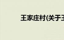王家庄村(关于王家庄村的简介)