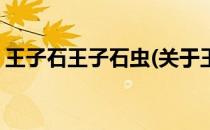 王子石王子石虫(关于王子石王子石虫的简介)