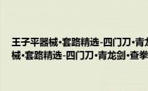 王子平器械·套路精选-四门刀·青龙剑·查拳门-武术泰斗(关于王子平器械·套路精选-四门刀·青龙剑·查拳门-武术泰斗的简介)