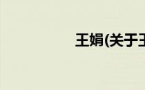 王娟(关于王娟的简介)