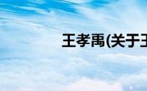 王孝禹(关于王孝禹的简介)