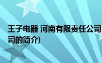 王子电器 河南有限责任公司(关于王子电器 河南有限责任公司的简介)