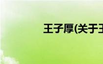 王子厚(关于王子厚的简介)
