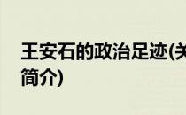 王安石的政治足迹(关于王安石的政治足迹的简介)