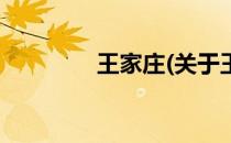 王家庄(关于王家庄的简介)