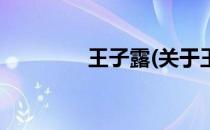 王子露(关于王子露的简介)