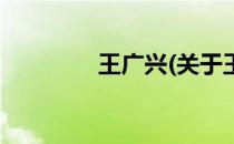 王广兴(关于王广兴的简介)
