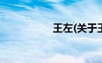王左(关于王左的简介)