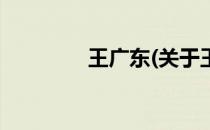 王广东(关于王广东的简介)