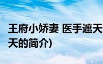 王府小娇妻 医手遮天(关于王府小娇妻 医手遮天的简介)