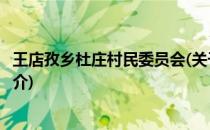 王店孜乡杜庄村民委员会(关于王店孜乡杜庄村民委员会的简介)