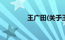 王广田(关于王广田的简介)