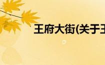 王府大街(关于王府大街的简介)