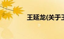 王延龙(关于王延龙的简介)