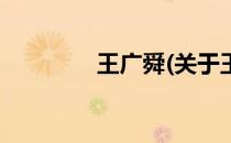 王广舜(关于王广舜的简介)