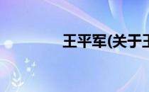 王平军(关于王平军的简介)