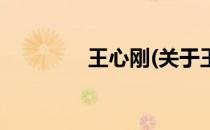 王心刚(关于王心刚的简介)