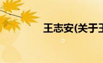 王志安(关于王志安的简介)