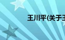 王川平(关于王川平的简介)