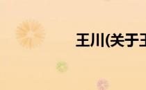 王川(关于王川的简介)