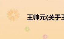 王帅元(关于王帅元的简介)