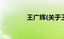 王广辉(关于王广辉的简介)