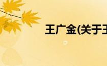 王广金(关于王广金的简介)